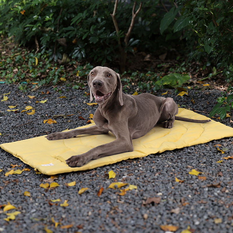 휴대용 접이식 애완동물 매트, 애완동물 용품, 방수 개 - Outdoor Camping Dog Bed 리뷰 및 가격