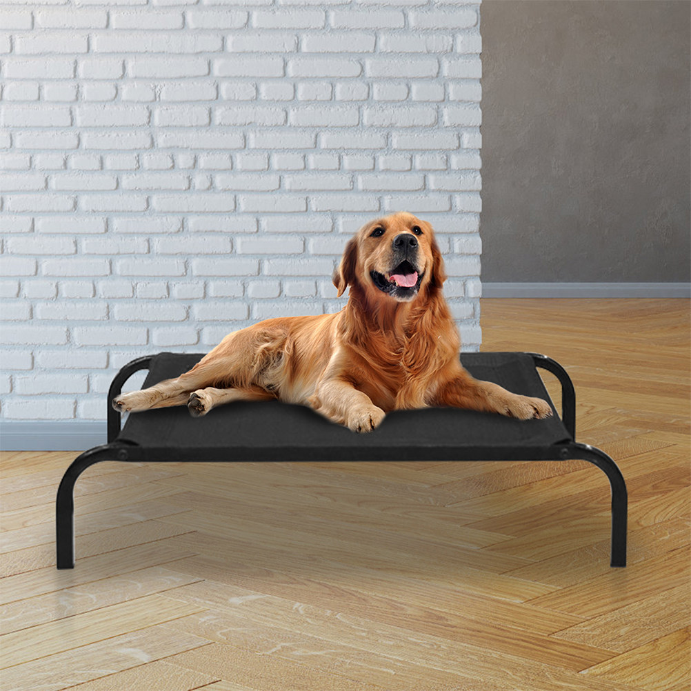 애완동물용 통기성 메시 커버, 교체 가능한 강아지 침대 - Outdoor Camping Dog Bed 리뷰 및 가격